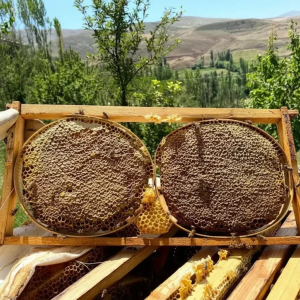 Kara Kovan Balı Kara Kovan Balı